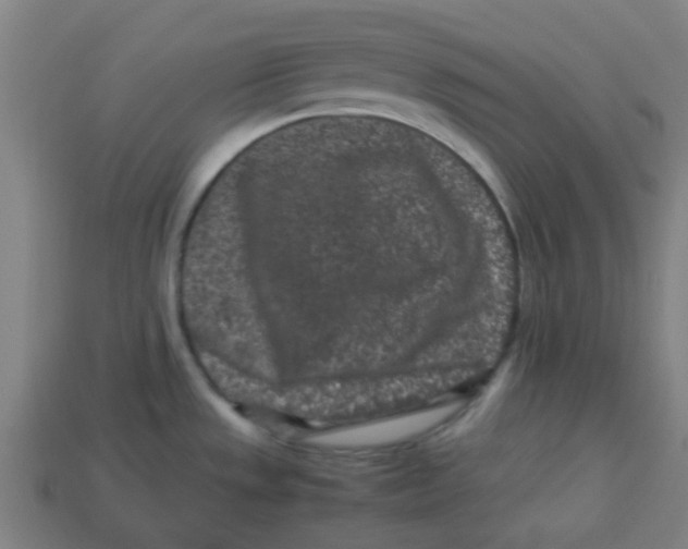 X0000113241533200910081248