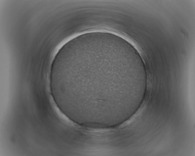 X0000113241534200910081248