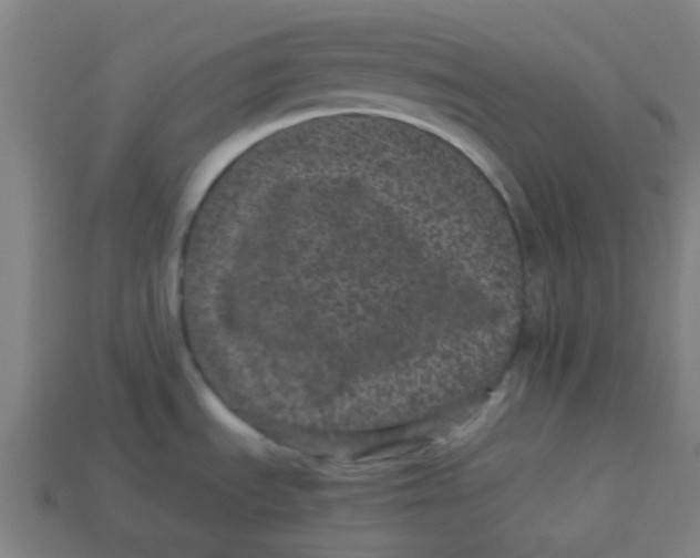 X0000113241535200910081248