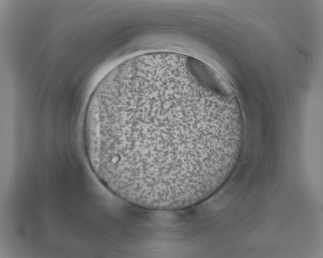 X0000113241536200910081248