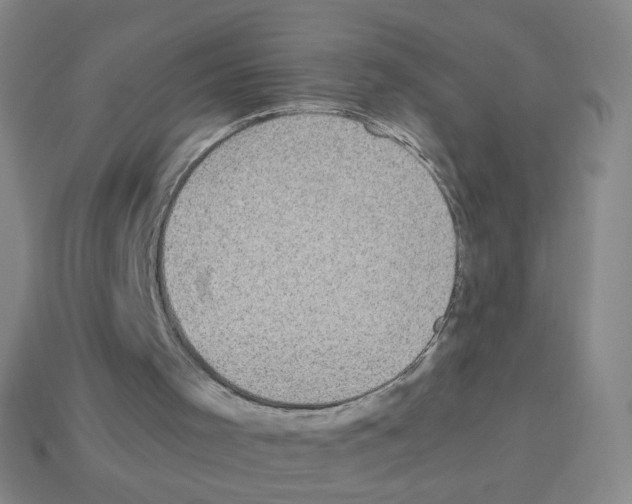 X0000113240001200910221110