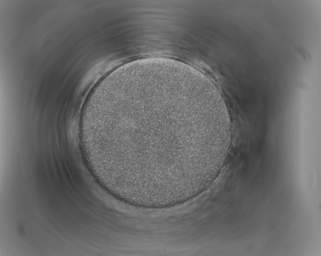 X0000113240002200910221110