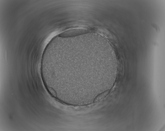 X0000113240003200910221110