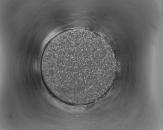 X0000113240004200910221110