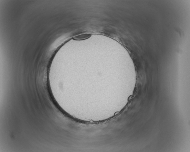 X0000113240005200910221110