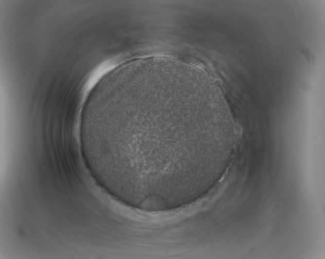 X0000113240006200910221110