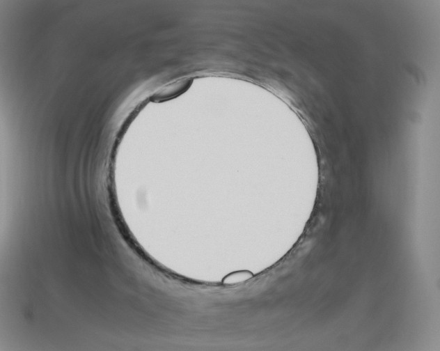 X0000113240007200910221110