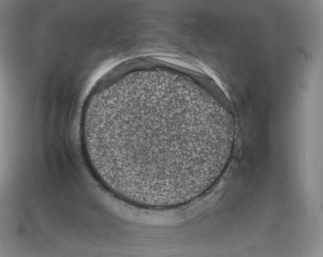 X0000113240008200910221110