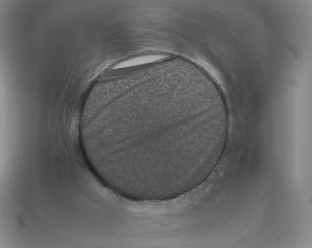 X0000113240009200910221110