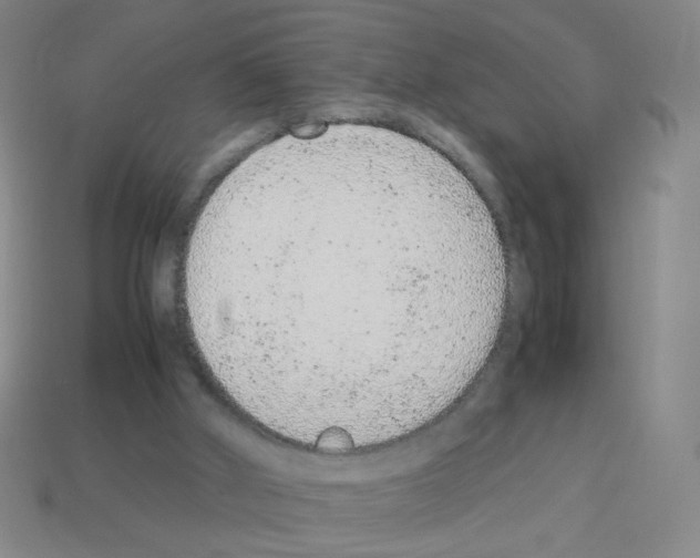 X0000113240010200910221110