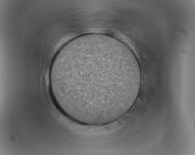 X0000113240011200910221110