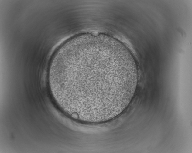 X0000113240012200910221110