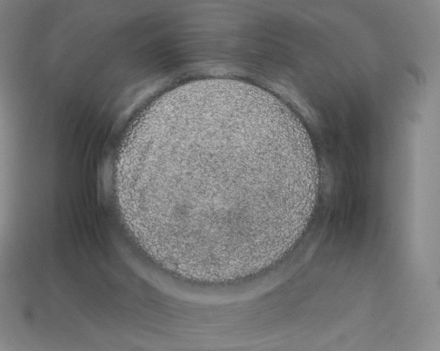X0000113240014200910221110