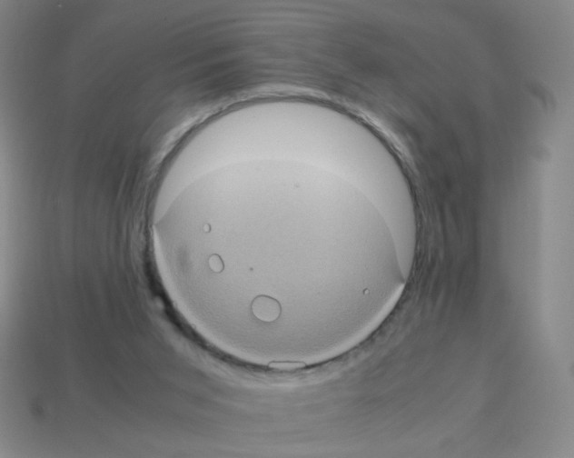 X0000113240015200910221110