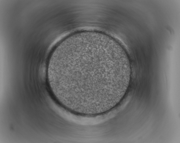 X0000113240016200910221110