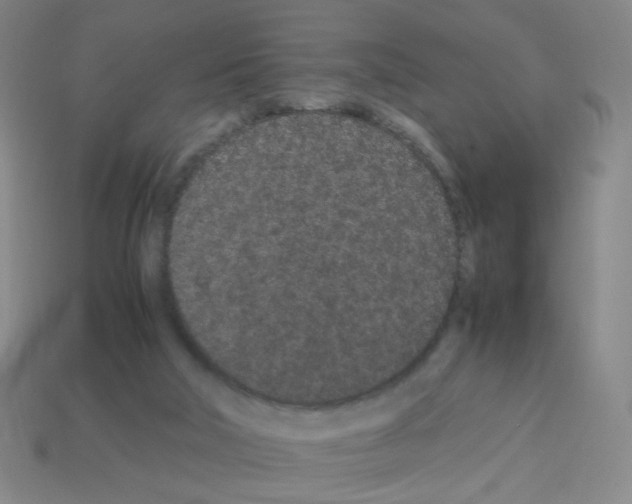 X0000113240018200910221110