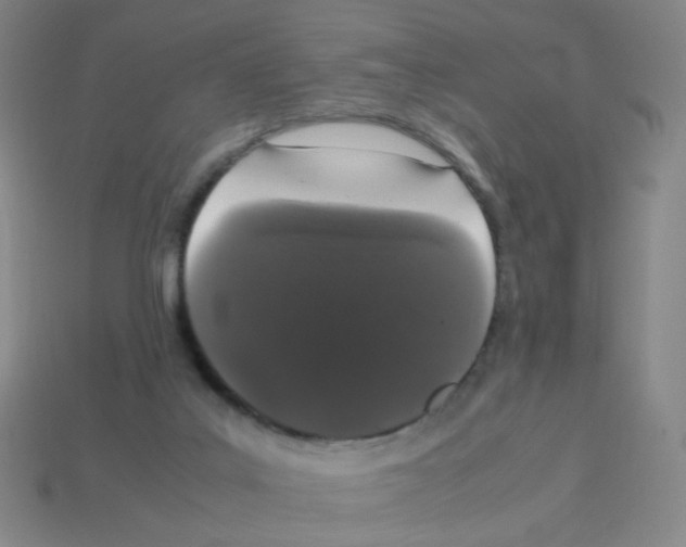 X0000113240019200910221110