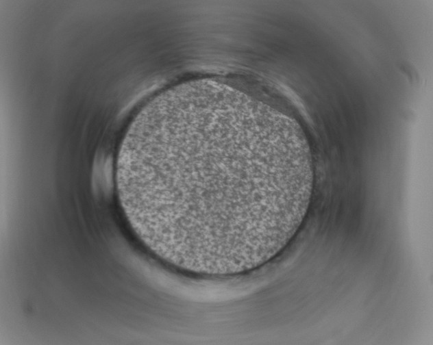 X0000113240020200910221110