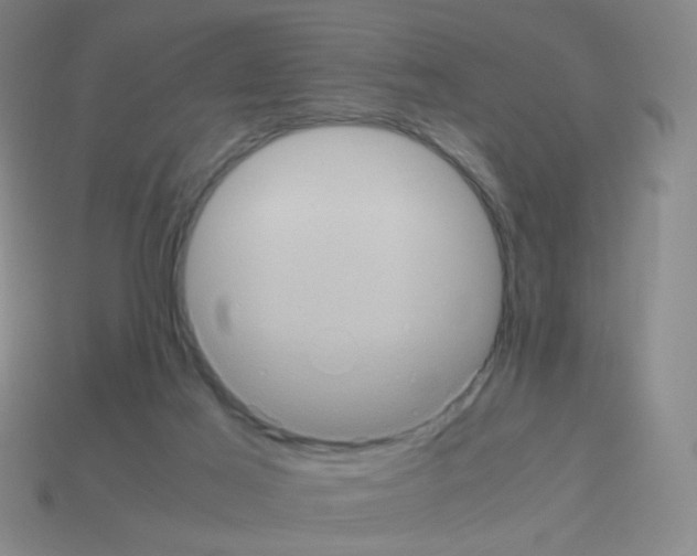 X0000113240021200910221110