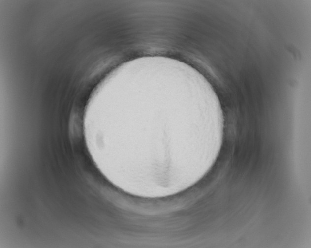 X0000113240022200910221110
