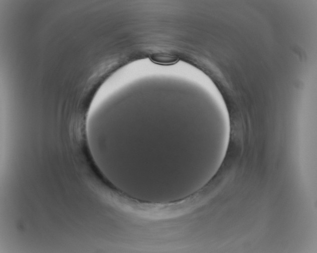 X0000113240023200910221110