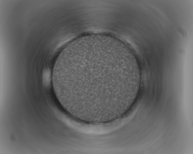 X0000113240024200910221110