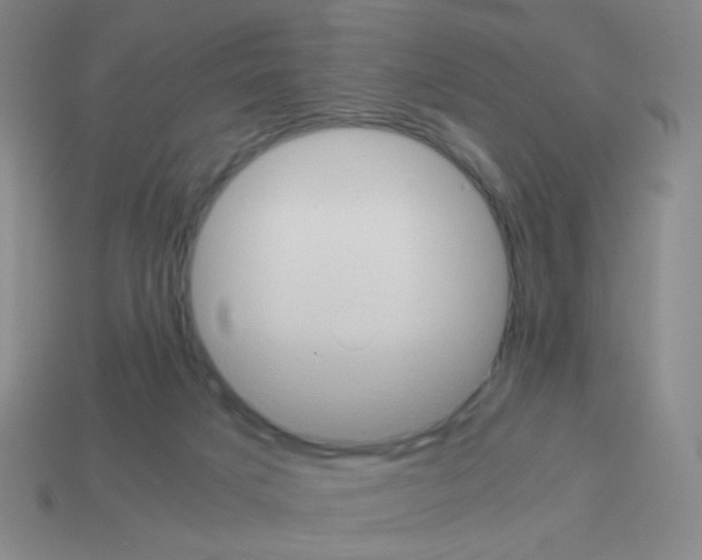 X0000113240025200910221110