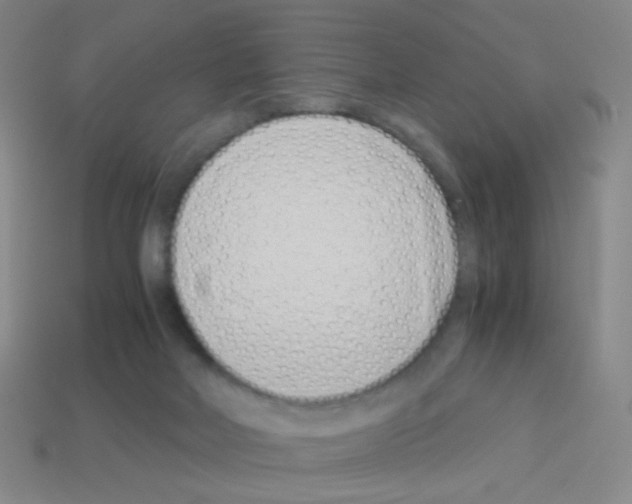 X0000113240026200910221110