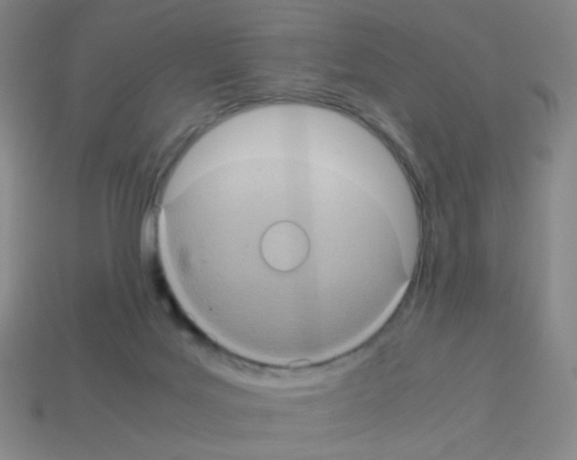 X0000113240027200910221110
