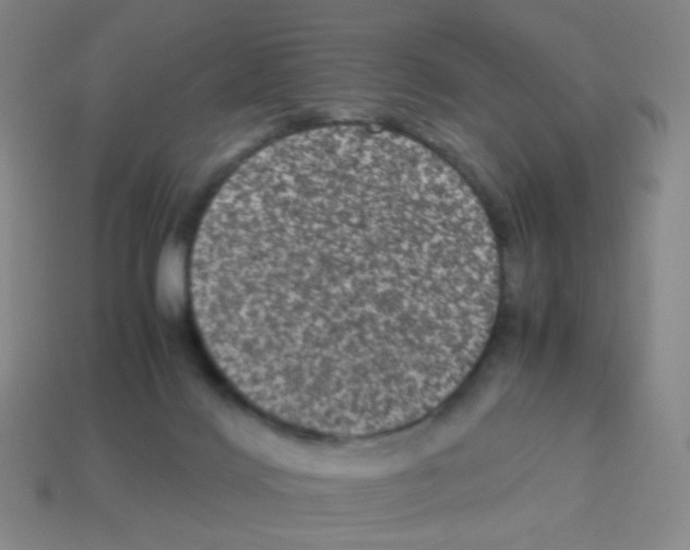 X0000113240028200910221110