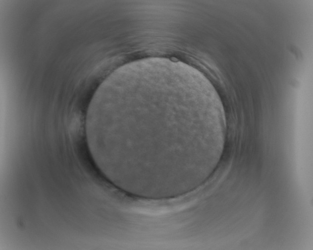 X0000113240029200910221110