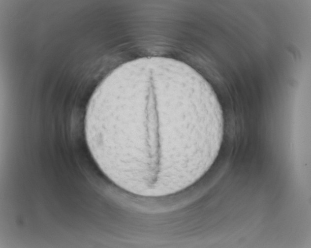 X0000113240030200910221110
