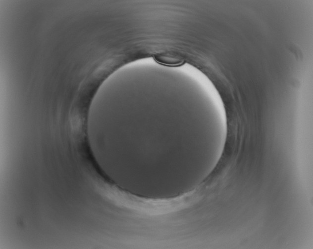 X0000113240031200910221110