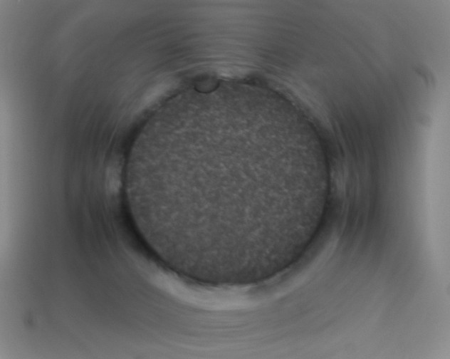X0000113240032200910221110