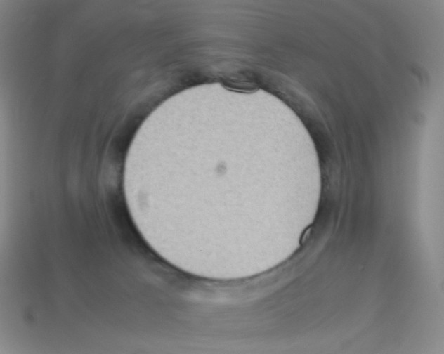 X0000113240033200910221110