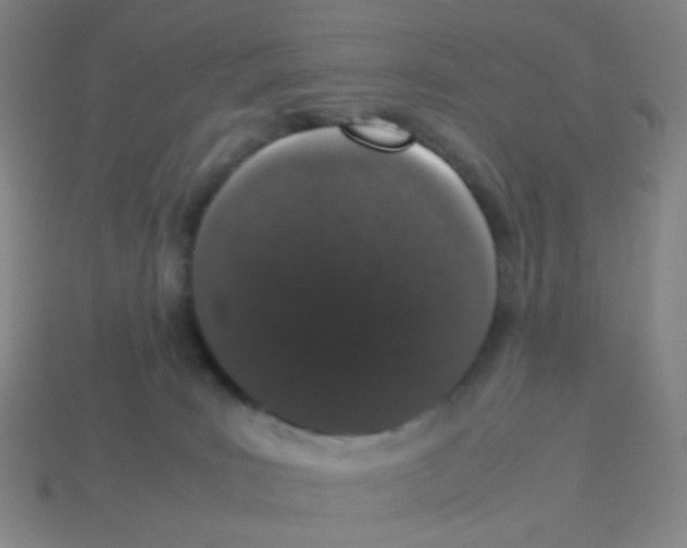 X0000113240035200910221110
