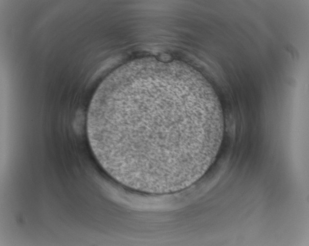 X0000113240036200910221110