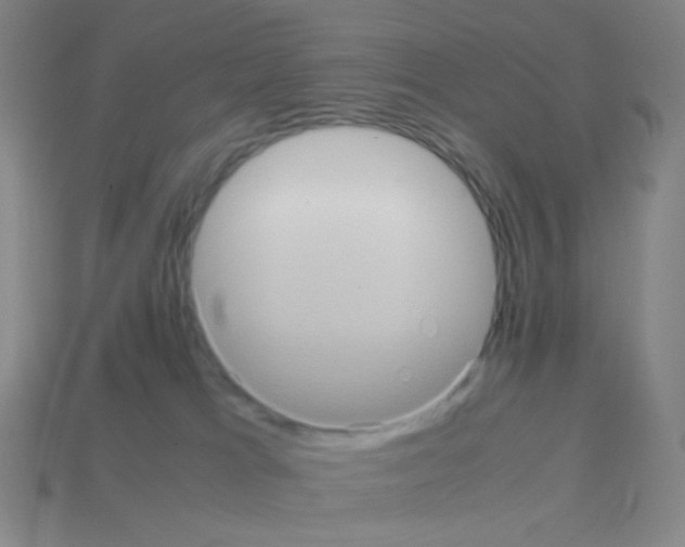 X0000113240037200910221110