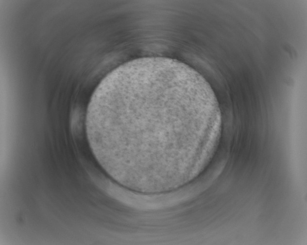 X0000113240038200910221110