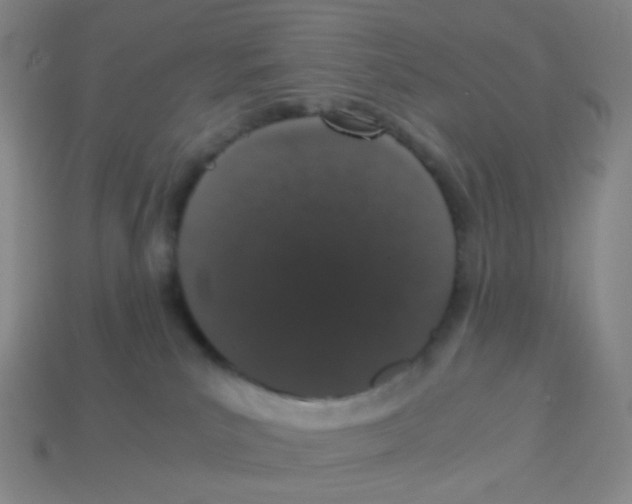 X0000113240039200910221110