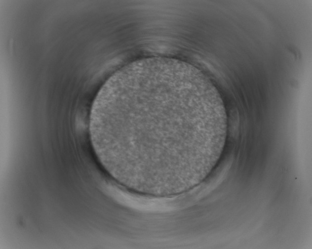 X0000113240040200910221110