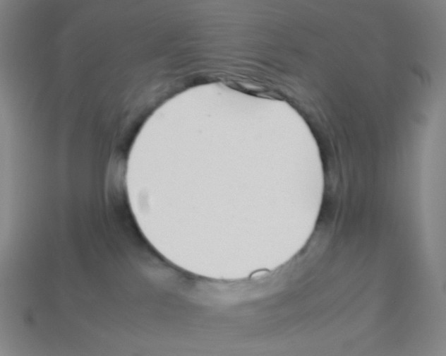 X0000113240041200910221110