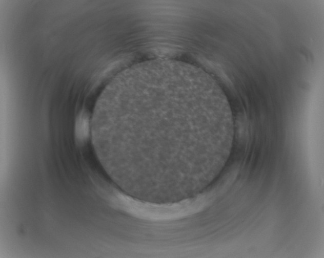 X0000113240042200910221110