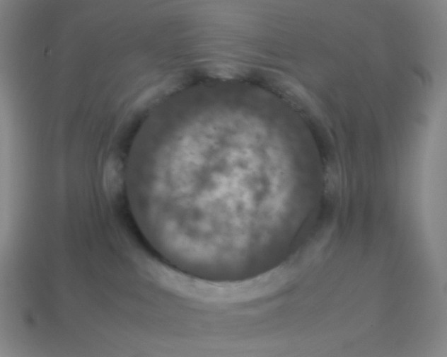 X0000113240043200910221110