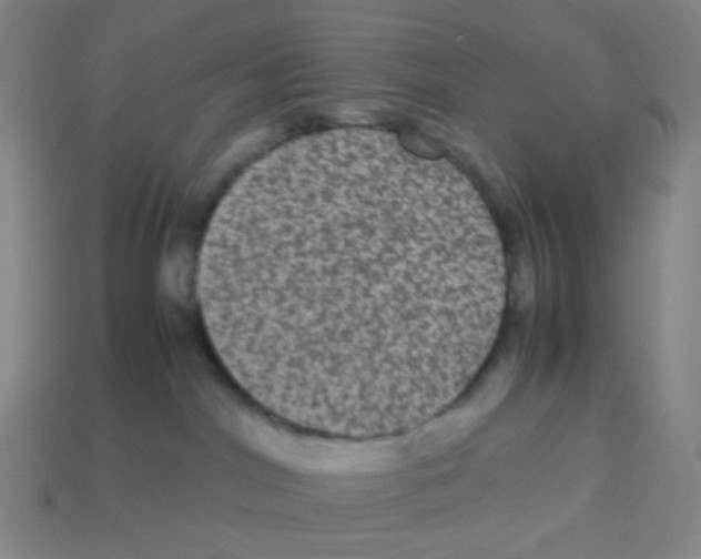 X0000113240044200910221110