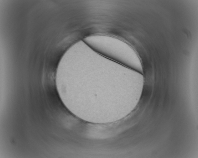 X0000113240045200910221110