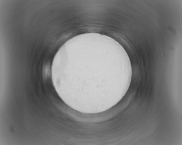 X0000113240046200910221110