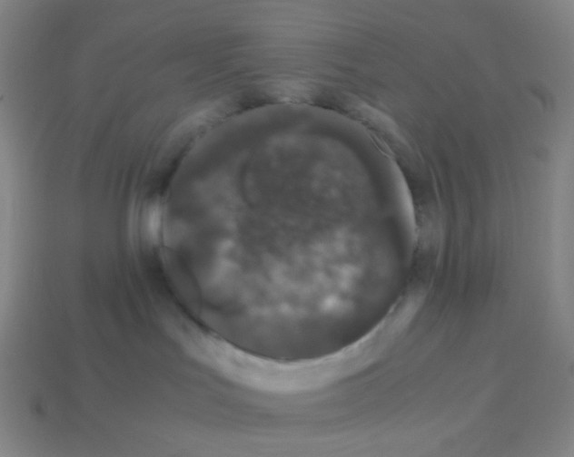 X0000113240047200910221110
