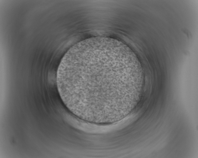 X0000113240048200910221109