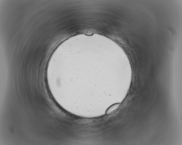 X0000113240049200910221109